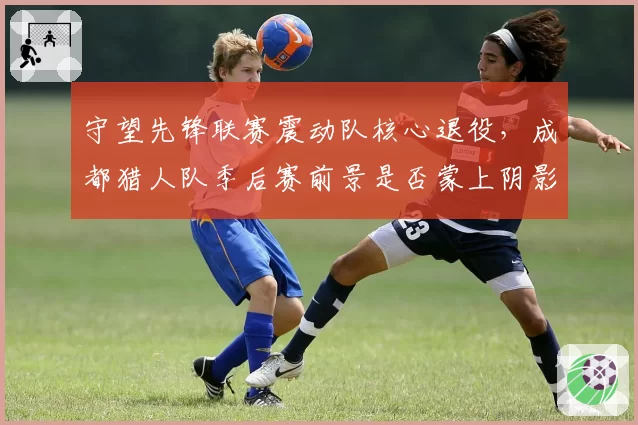 守望先锋联赛震动队核心退役,成都猎人队季后赛前景是否蒙上阴影?