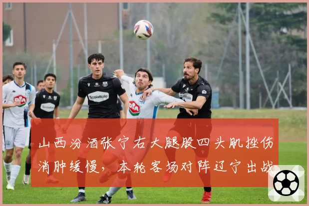 山西汾酒张宁右大腿股四头肌挫伤消肿缓慢,本轮客场对阵辽宁出战成疑