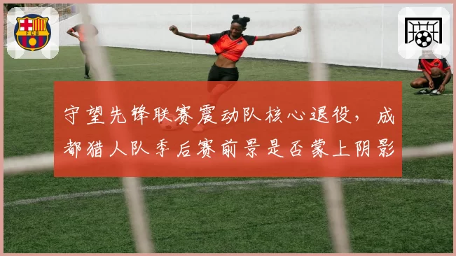 守望先锋联赛震动队核心退役,成都猎人队季后赛前景是否蒙上阴影?